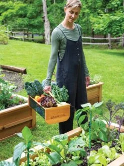 Garden Hods -Deals Seed N Tools Store 39 761 0146 tif