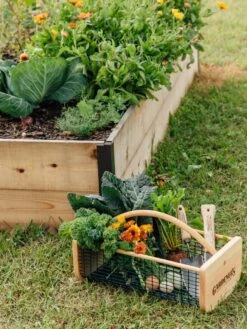 Garden Hods -Deals Seed N Tools Store 39 761 572 tif