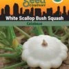 Squash, White Scallop Bush Summer Organic Seeds -Deals Seed N Tools Store 3 4 crop 84589 8613564 Squash White Scallop Bush