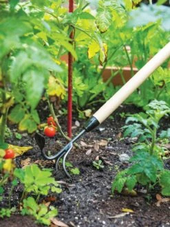Gardener's Lifetime Long-Handled Double Tool 9 Gardener's Lifetime Long-Handled Double Tool -Deals Seed N Tools Store 3 4 crop 8592107 2460 tif