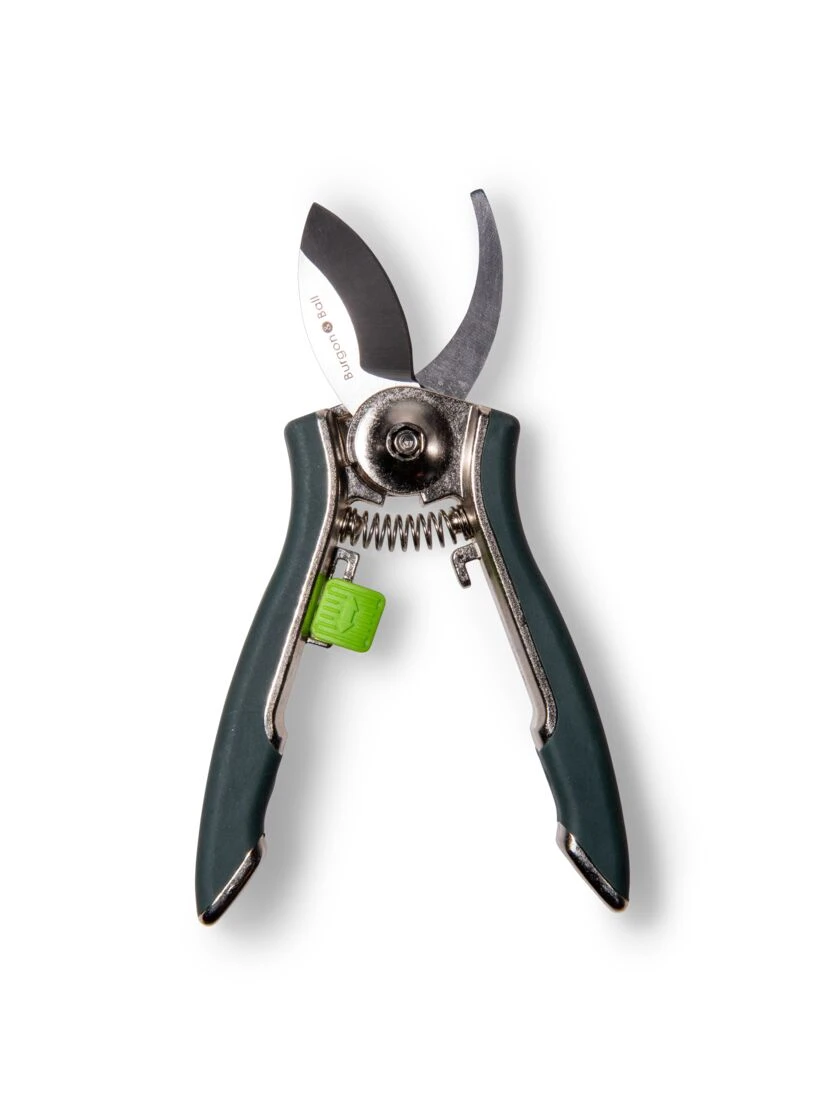 Houseplant Pruner 6 Houseplant Pruner - Image 4