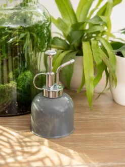 Indoor Plant Mister -Deals Seed N Tools Store 3 4 crop 8612962 0049