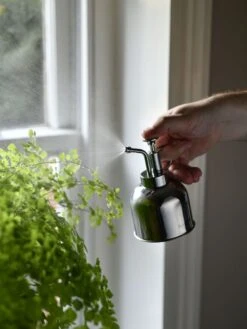 Indoor Plant Mister -Deals Seed N Tools Store 3 4 crop 8612962 02V tif