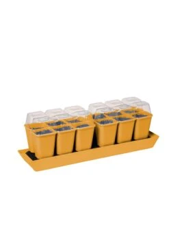 Gardener's Best® Humidity Dome, Set Of 2 9 Gardener's Best® Humidity Dome, Set Of 2 -Deals Seed N Tools Store 3 4 crop 8613067 5879 tif