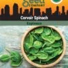Corvair Spinach Organic Seeds 2 Corvair Spinach Organic Seeds -Deals Seed N Tools Store 3 4 crop 8613868 06842 Spinach Corvair SDSC