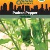 Pepper, Padron Organic Seeds -Deals Seed N Tools Store 3 4 crop 87466 8613547 Pepper Padron SDSC