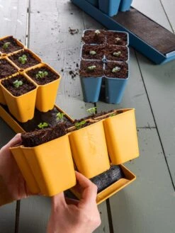 Coco Coir Seed Starting Mix 7 Coco Coir Seed Starting Mix -Deals Seed N Tools Store 40 135 6192