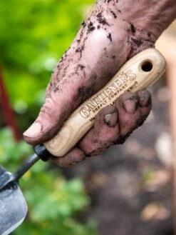 Deals Seed N Tools Store -Deals Seed N Tools Store 8586972 3252 tif