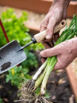 Gardener's Lifetime Trowel -Deals Seed N Tools Store 8586972 3286 tif