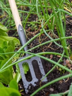 Gardener's Lifetime Spork -Deals Seed N Tools Store 8586973 2383 tif