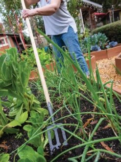 Deals Seed N Tools Store -Deals Seed N Tools Store 8586973 2385 tif