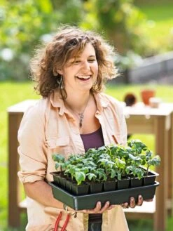 Growease Seed Starter Kit 18 Growease Seed Starter Kit -Deals Seed N Tools Store 8589987 0446 tif