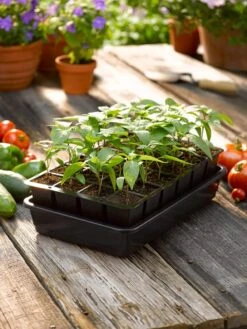 Growease Seed Starter Kit 16 Growease Seed Starter Kit -Deals Seed N Tools Store 8589987 1148 tif