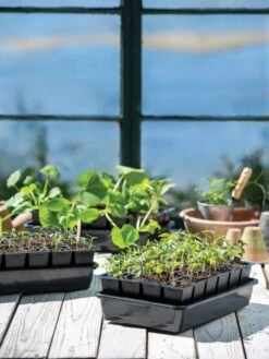 Growease Seed Starter Kit 21 Growease Seed Starter Kit -Deals Seed N Tools Store 8589987 7871 tif