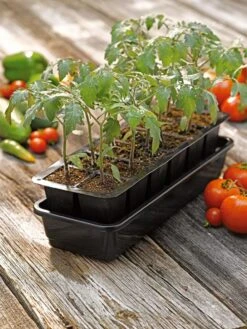 Growease Seed Starter Kit 15 Growease Seed Starter Kit -Deals Seed N Tools Store 8589988 1056 tif