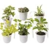 Low Light Terrarium Plant Collection, Set Of 6 -Deals Seed N Tools Store 8591770 3595 tif