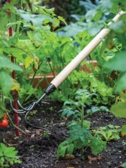 Deals Seed N Tools Store 17 Gardener's Lifetime Long-Handled Double Tool