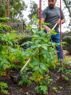 Deals Seed N Tools Store -Deals Seed N Tools Store 8592107 2481 tif