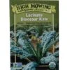 Lacinato Dino Kale Organic Seeds -Deals Seed N Tools Store 8594082 9241 tif