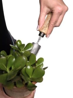 Gardener's Lifetime Mini Trowel 8 Gardener's Lifetime Mini Trowel -Deals Seed N Tools Store 8594146 0111 tif