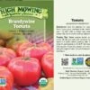 Brandywine Tomato Organic Seeds -Deals Seed N Tools Store 8596098 001V Brandywine Tomato tif