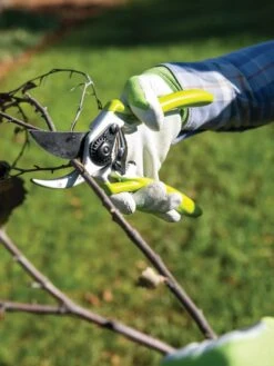 Gardener's Pro Pruner #2 -Deals Seed N Tools Store 8596605 032 tif