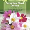 Sensation Blend Cosmos Organic Seeds 1 Sensation Blend Cosmos Organic Seeds -Deals Seed N Tools Store 8598224 01V tif