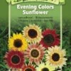Evening Colors Sunflower Organic Seeds 2 Evening Colors Sunflower Organic Seeds -Deals Seed N Tools Store 8598225 01V tif
