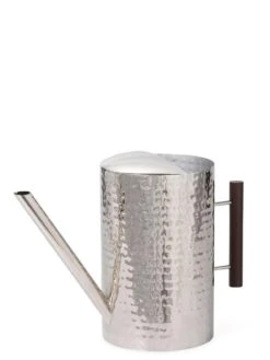 Stainless Steel Watering Can 9 Stainless Steel Watering Can -Deals Seed N Tools Store 8599057 12090 tif