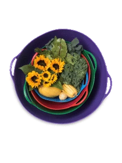 Colorful Tubtrug, 7 Gallon -Deals Seed N Tools Store 8599088 20GalTubTrug gif 1