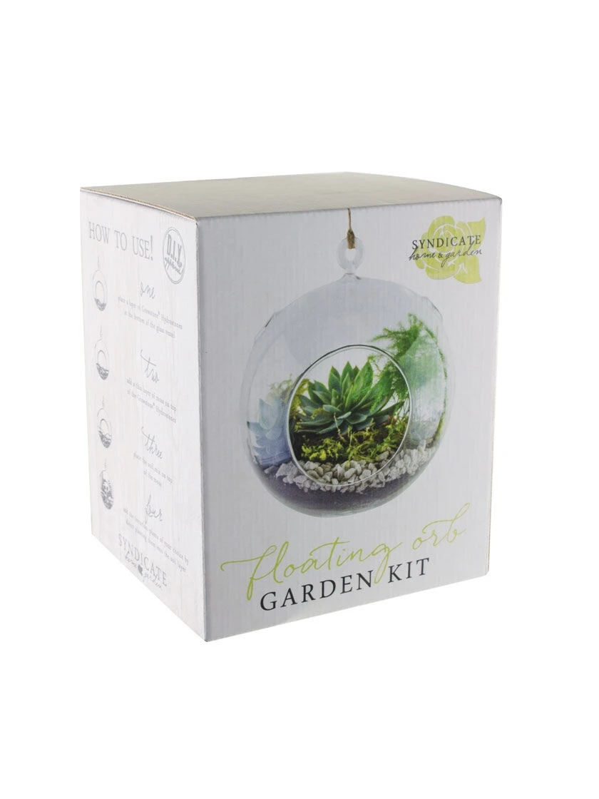 Floating Orb Terrarium Kit 5 Floating Orb Terrarium Kit - Image 3