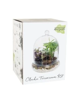 Cloche Terrarium Kit Medium -Deals Seed N Tools Store 8599148 01v