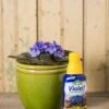 Espoma Violet! Plant Food 2 Espoma Violet! Plant Food -Deals Seed N Tools Store 8599781 18437 espoma violet plant food liquid fertilizer