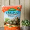 Espoma Cactus Potting Mix, 4 Quart -Deals Seed N Tools Store 8599789 18448 tif