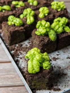 Soil Blocker, 4 Cell 11 Soil Blocker, 4 Cell -Deals Seed N Tools Store 8599790 1057 tif