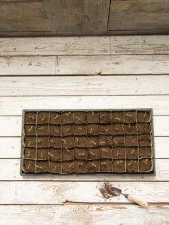 Paper Pots, 50 Cell 12 Paper Pots, 50 Cell -Deals Seed N Tools Store 8599830 18489 tif