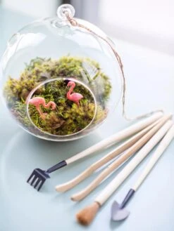 Terrarium Tools, Set Of 4 -Deals Seed N Tools Store 8599884 01V tif