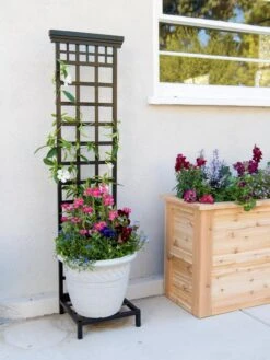 Best Seller 1 Mission-Style Planter Stand With Trellis
