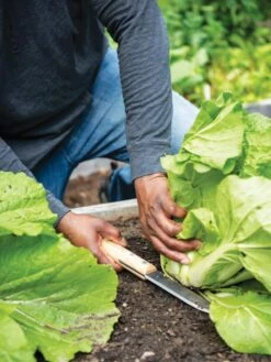 Deals Seed N Tools Store -Deals Seed N Tools Store 8608888 0416 tif