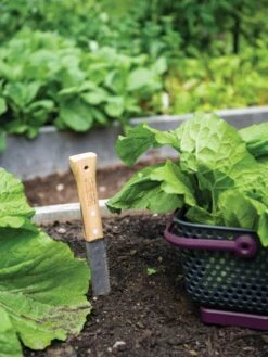 Deals Seed N Tools Store 15 Gardener's Lifetime Hori Hori Knife