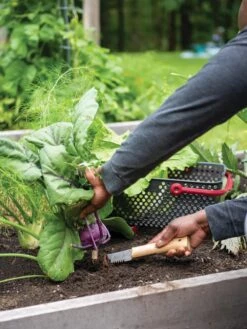 Gardener's Lifetime Hori Hori Knife 9 Gardener's Lifetime Hori Hori Knife -Deals Seed N Tools Store 8608888 0422 tif