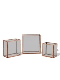 Copper And Glass Terrariums, Set Of 3 7 Copper And Glass Terrariums, Set Of 3 -Deals Seed N Tools Store 8609212 0851 tif