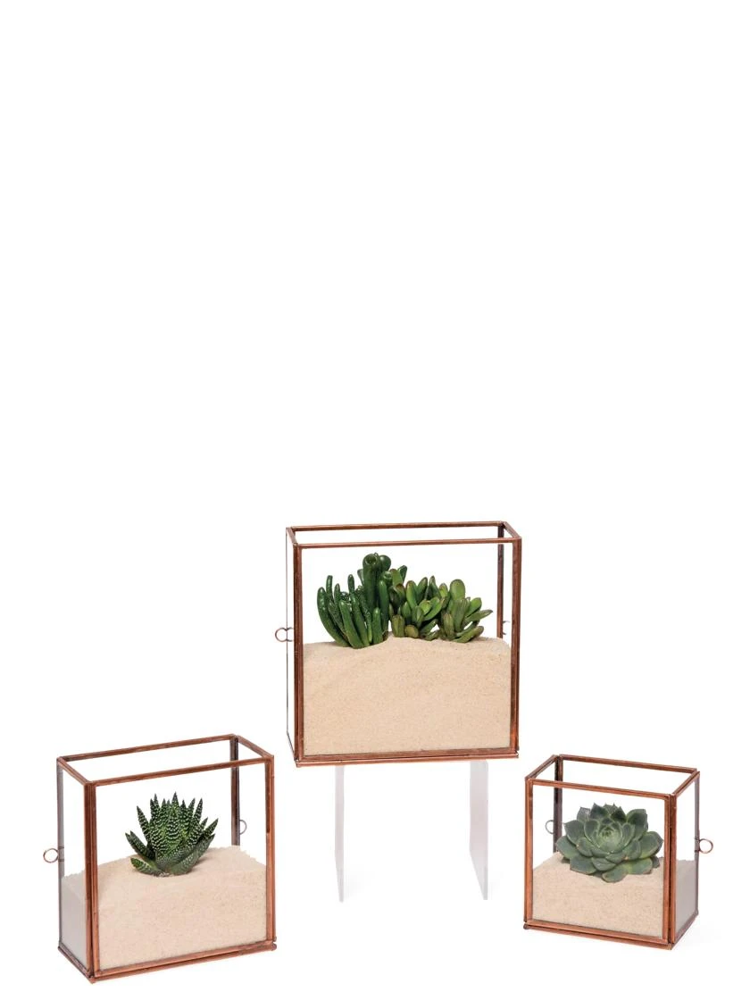 Copper And Glass Terrariums, Set Of 3 4 Copper And Glass Terrariums, Set Of 3 - Image 2