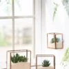 Copper And Glass Terrariums, Set Of 3 -Deals Seed N Tools Store 8609212 2964 tif