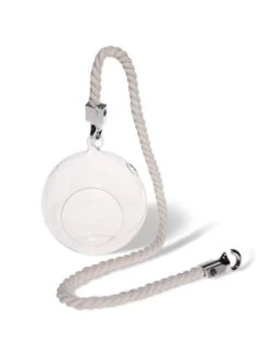 Mini Blown-Glass Hanging Terrarium, Set Of 2 -Deals Seed N Tools Store 8609218 4734