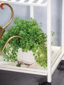 Oslo 2-Tier Plant Stand With Folding Shelves -Deals Seed N Tools Store 8609220 4137 tif