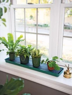Self-Watering Windowsill Tray -Deals Seed N Tools Store 8609873 9011 tif