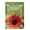 Velvet Queen Sunflower Organic Seeds 2 Velvet Queen Sunflower Organic Seeds -Deals Seed N Tools Store 8610362 9977 velvet queen sunflower organic seeds