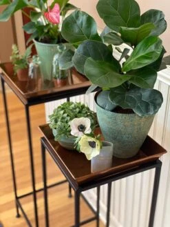 Square Nesting Plant Stands With Trays, Set Of 2 -Deals Seed N Tools Store 8611014 3651 tif