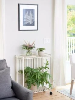 Best Seller -Deals Seed N Tools Store 8611766 0044 tif